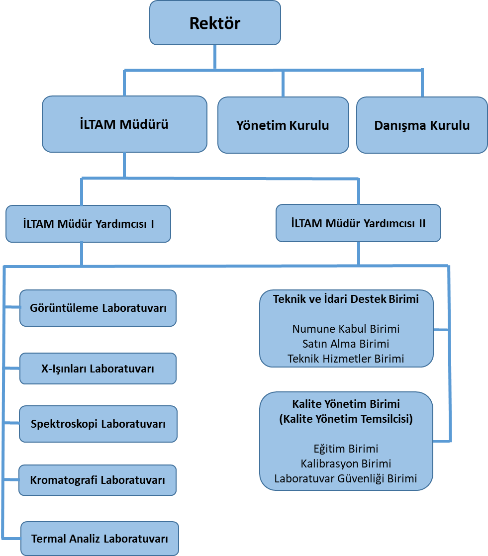 organizasyon şeması